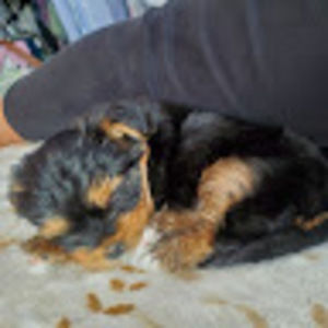 Meet your Posher, Natalie e